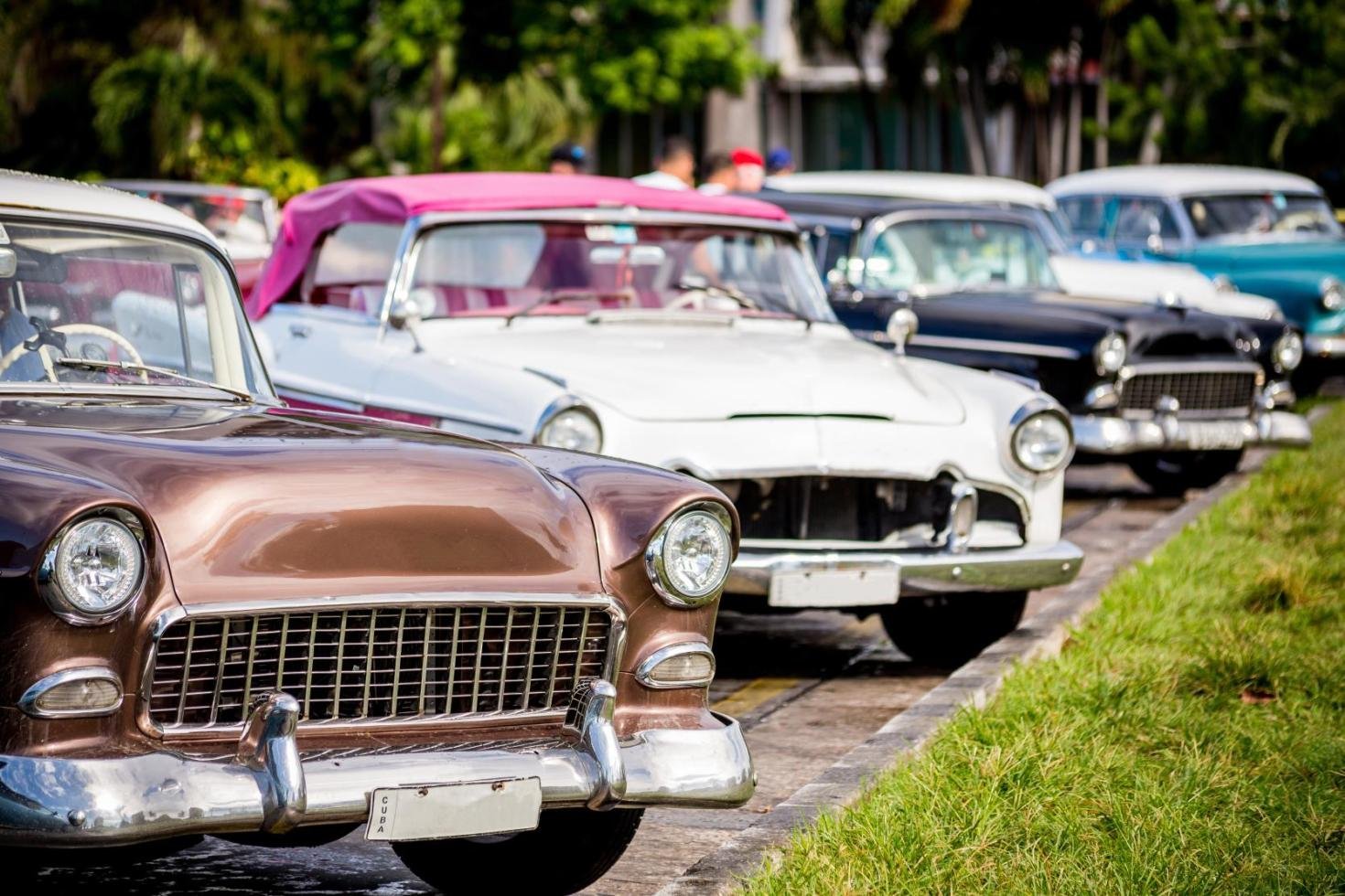 Best Vintage Car Shows Near You